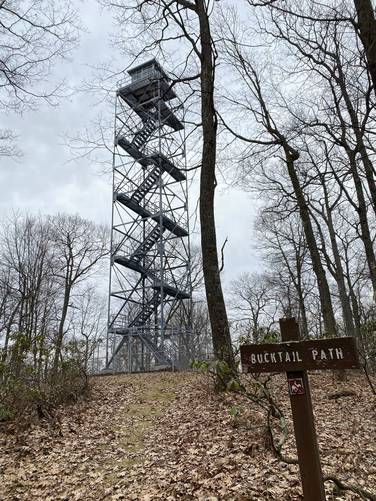 Brooks Run Fire Tower Trail