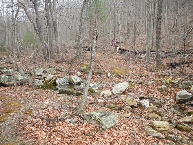 Picture 4 of Brown Mountain Hike 031017