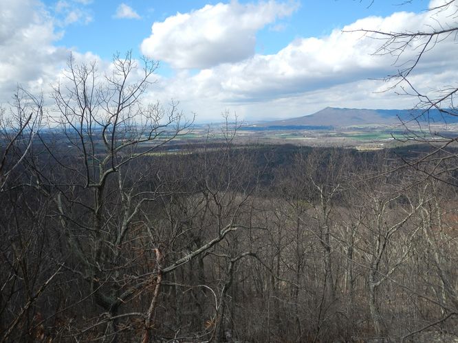 Picture 21 of Brown Mountain Hike 031017