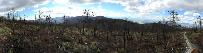 Picture 23 of Brown Mountain Hike 031017
