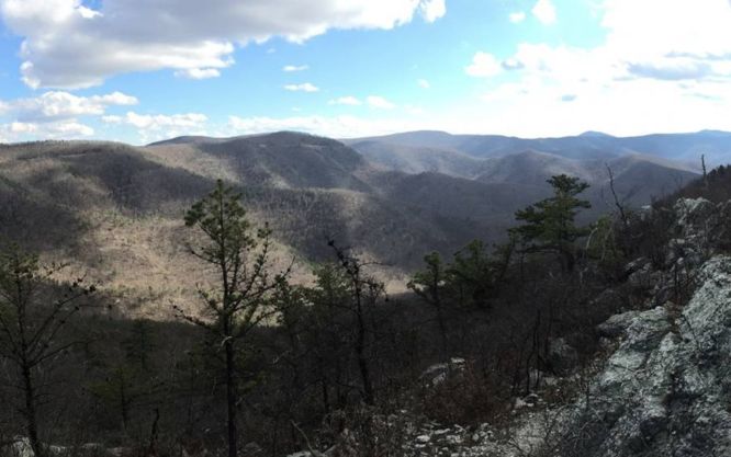 Default image for Brown Mountain Hike, a 9.4-mile trail in Simmons Gap, VA (US)