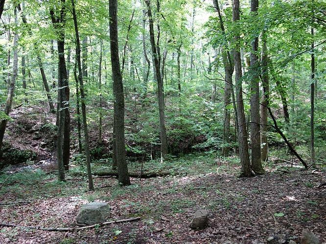 Picture 20 of Browns Hollow Hike 061414