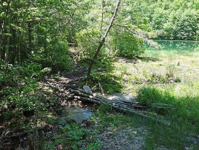 Picture 7 of Browns Hollow Hike 061414