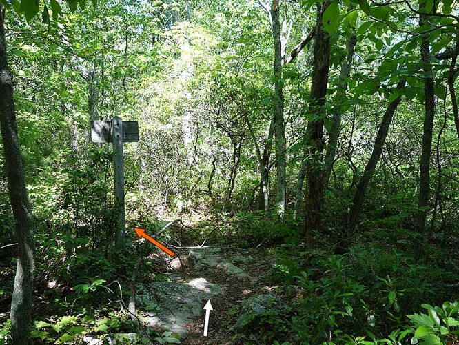 Picture 2 of Browns Hollow Hike 061414