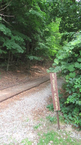 Forest Entrance sign
