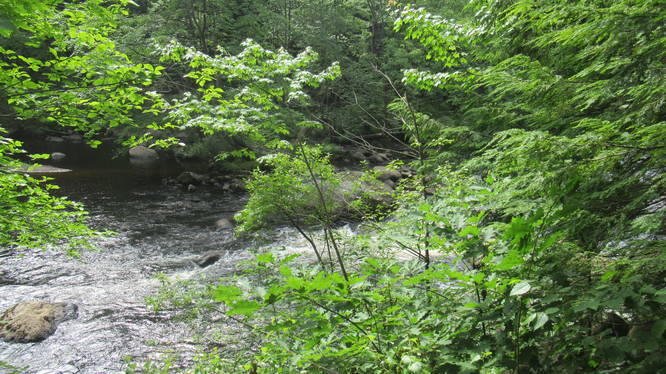 View from the Blue Trail of the Contoocook River