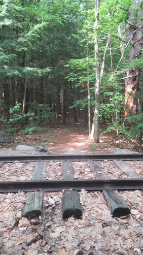 The juction of the Blue Trail and the White Trail across the tracks
