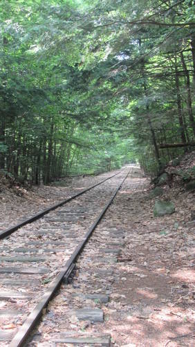 The White trail heading back along tracks to trailhead