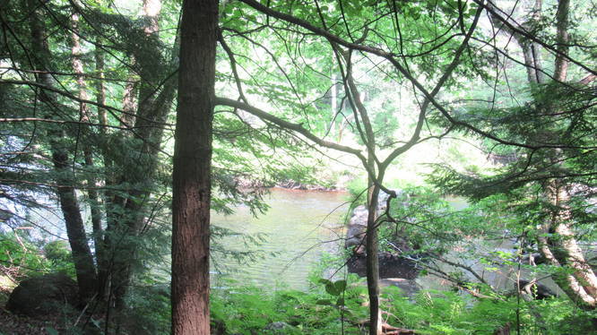View from the Gold Trail of the Contoocook River
