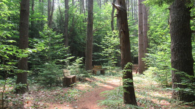 Two benches at the juction of three trails