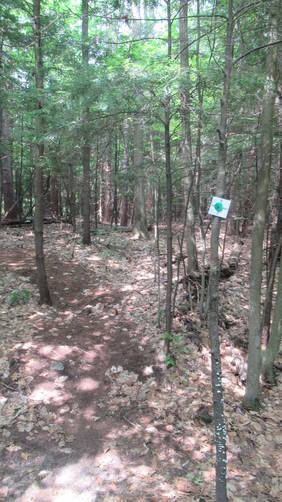 The Green Trail Blaze marker
