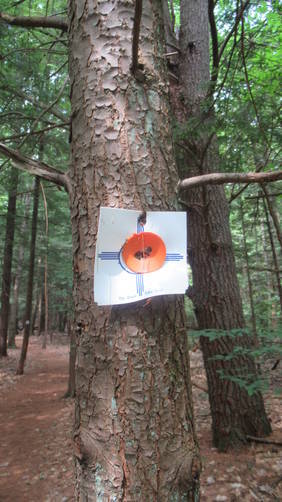 The Orange Trail Blaze marker