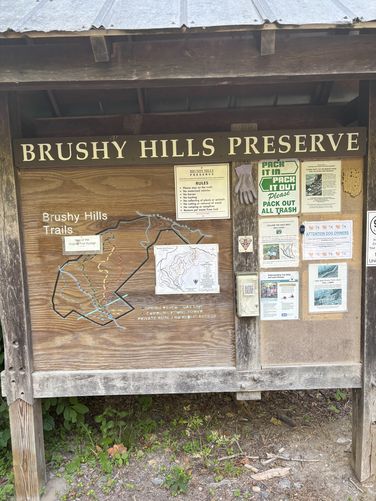 Picture 2 of Brushy Hills Loop Trail