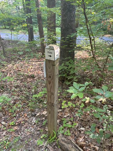 Picture 4 of Brushy Hills Loop Trail