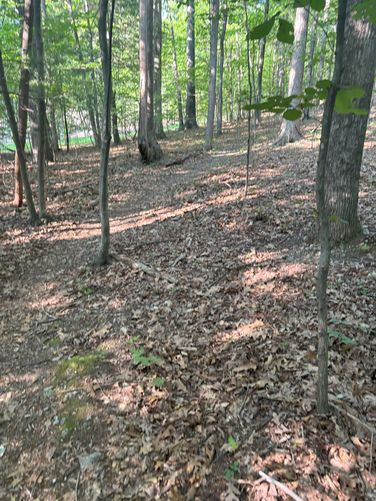 Picture 5 of Brushy Hills Loop Trail
