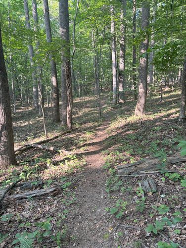 Picture 6 of Brushy Hills Loop Trail
