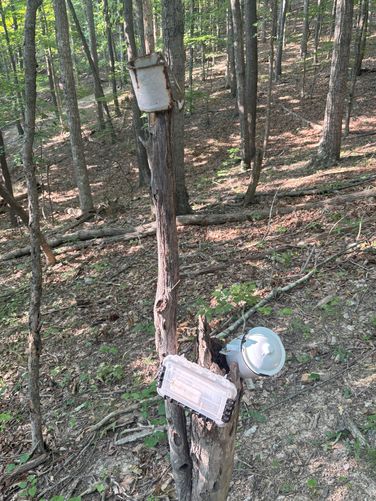 Picture 7 of Brushy Hills Loop Trail