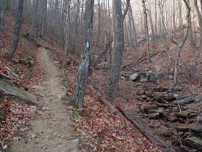 Picture 4 of Buck Hollow and Marys Rock Hike 120107