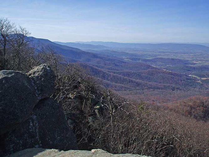 Default image for Buck Hollow and Mary's Rock Hike, a 9.0-mile trail in Sperryville, VA (US)