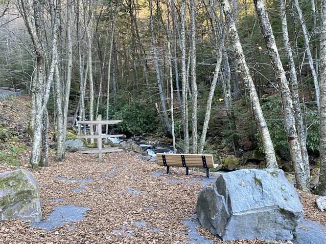 Bench sits along Buck Mountain Creek
