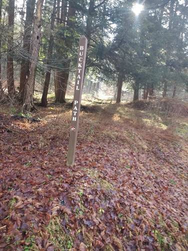 Proposed Link Trail West - BuckTail Path TrailHead album