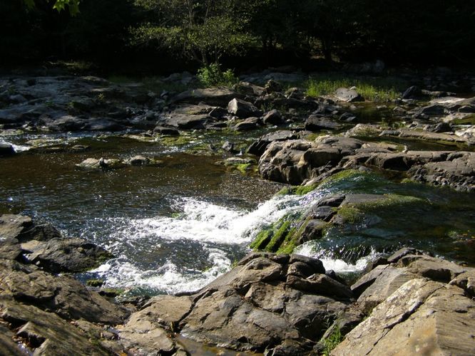 Picture 4 of Buckquarter Creek and Holden Mill Hike 0922114