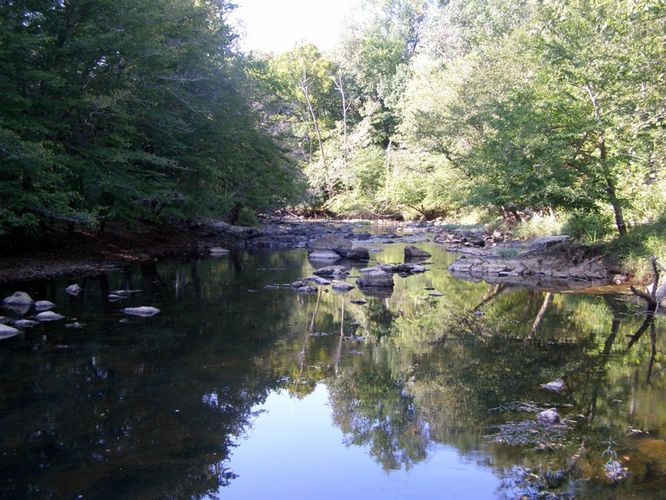 Picture 5 of Buckquarter Creek and Holden Mill Hike 0922114