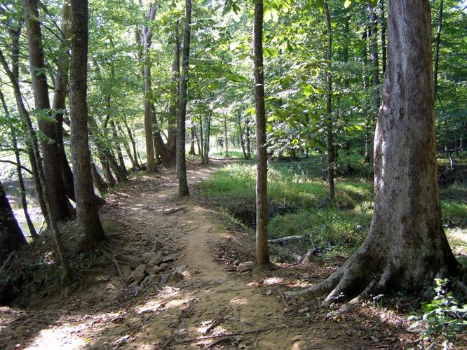 Picture 7 of Buckquarter Creek and Holden Mill Hike 0922114