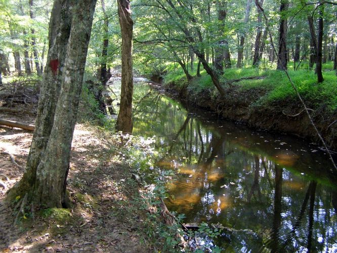 Picture 9 of Buckquarter Creek and Holden Mill Hike 0922114