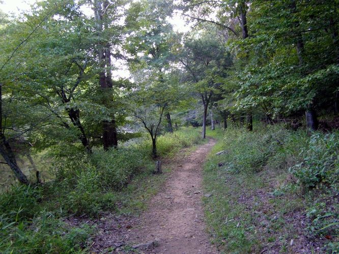 Picture 19 of Buckquarter Creek and Holden Mill Hike 0922114