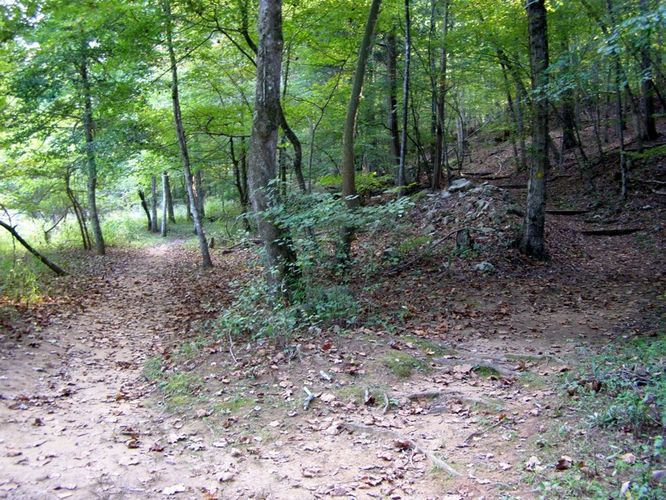 Picture 20 of Buckquarter Creek and Holden Mill Hike 0922114
