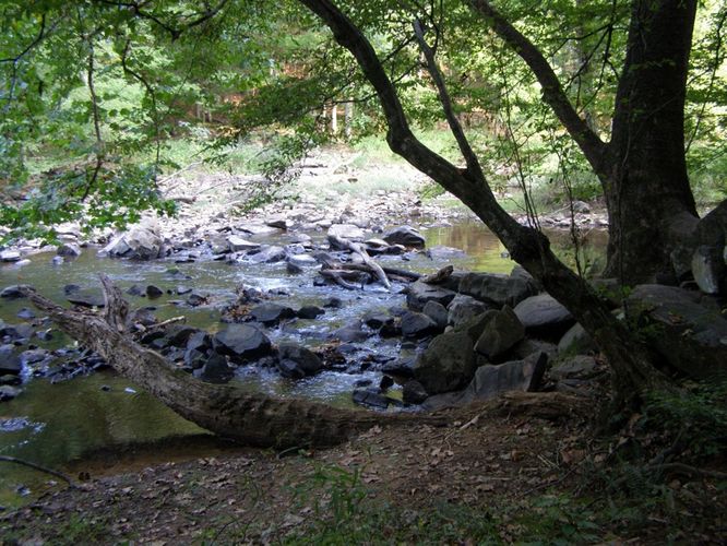 Picture 22 of Buckquarter Creek and Holden Mill Hike 0922114