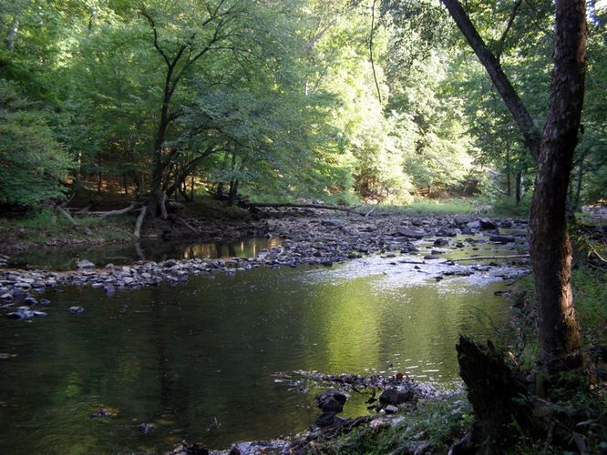 Picture 23 of Buckquarter Creek and Holden Mill Hike 0922114