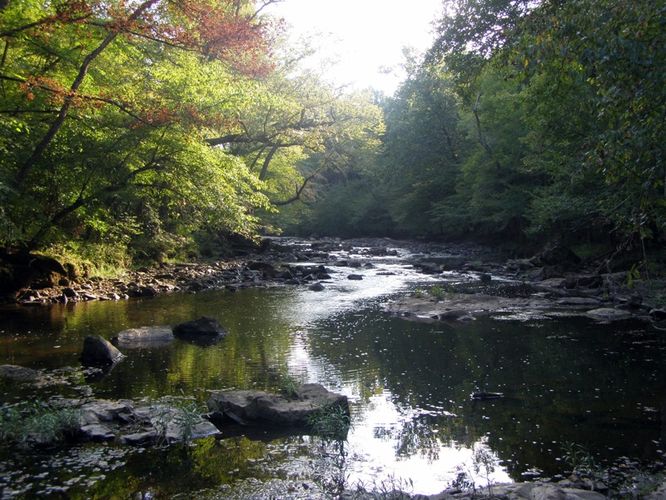 Picture 27 of Buckquarter Creek and Holden Mill Hike 0922114