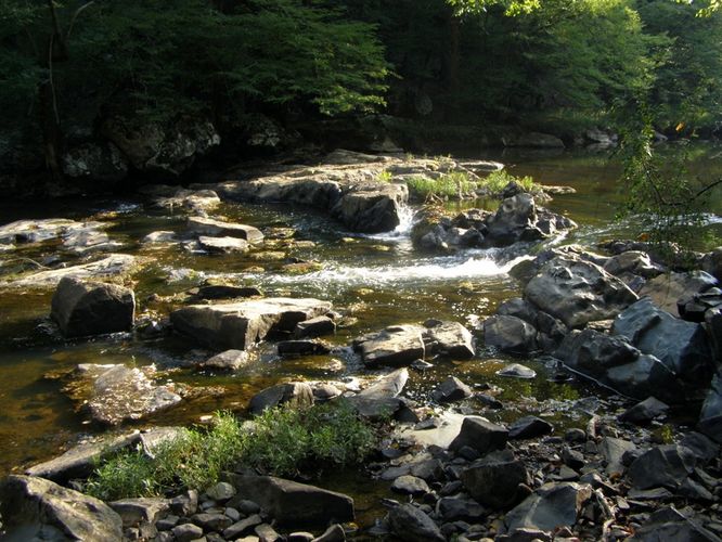 Picture 31 of Buckquarter Creek and Holden Mill Hike 0922114