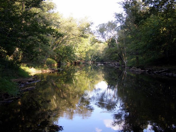 Picture 32 of Buckquarter Creek and Holden Mill Hike 0922114