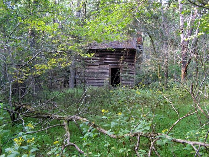 Default image for Buckquarter Creek and Holden Mill Hike, a 6.9-mile trail in Durham, NC (US)