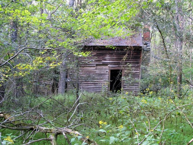 Picture 34 of Buckquarter Creek and Holden Mill Hike 0922114