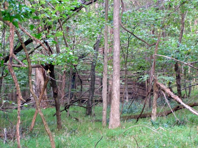 Picture 37 of Buckquarter Creek and Holden Mill Hike 0922114