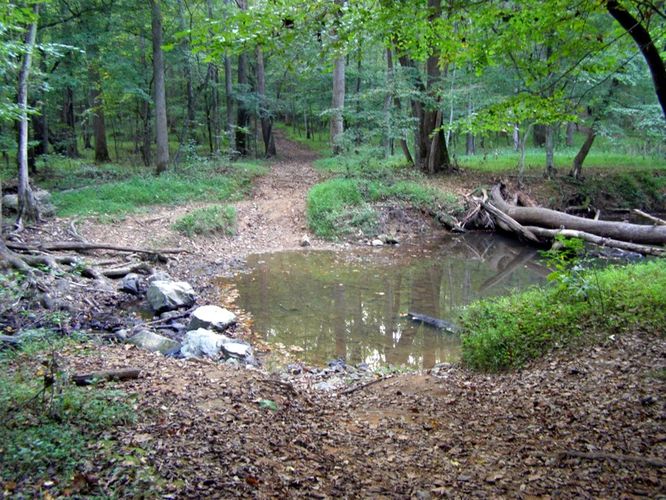 Picture 39 of Buckquarter Creek and Holden Mill Hike 0922114