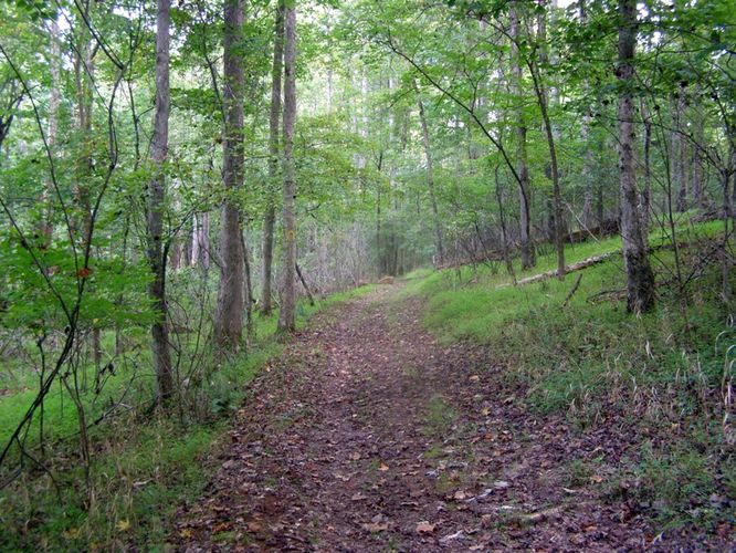 Picture 42 of Buckquarter Creek and Holden Mill Hike 0922114
