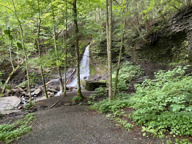 Bucktail Falls trail