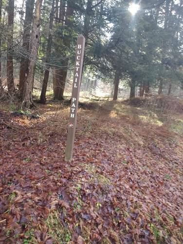 Bucktail Path Trail Post