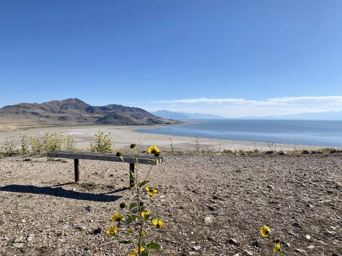 Bench with view of the Great Salt Lake from Antelope Island