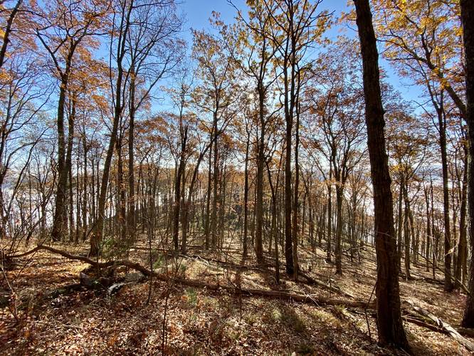 Hiking down Cedar Mountain to reach Bull Run Point