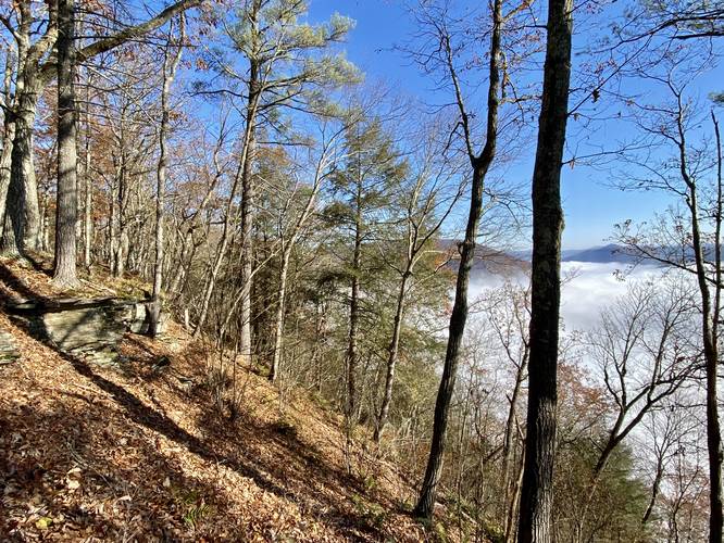 Fog in the PA Grand Canyon with Gillespie Point in the distance (north side of Bull Run Point)