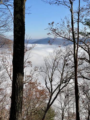 View of Gillespie Point poking through fog in the PA Grand Canyon