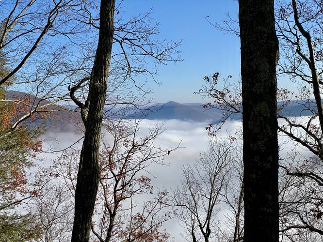 View of Gillespie Point poking through fog in the PA Grand Canyon