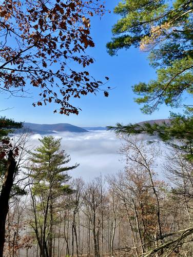 Vista facing south into PA Grand Canyon from Bull Run Point