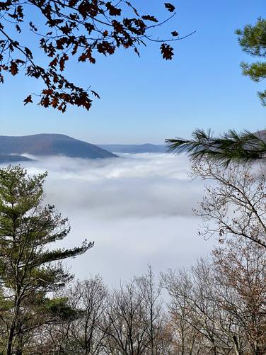 Vista facing south into PA Grand Canyon from Bull Run Point